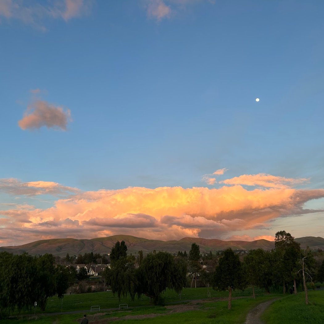 NEWHALL PARK 1