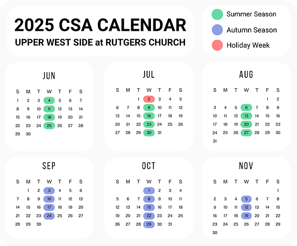 2025 CSA Season 1