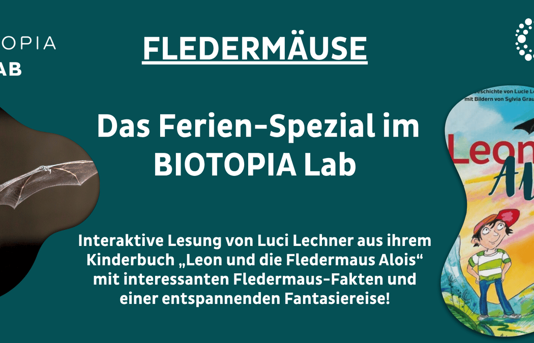 Fledermäuse - Das Ferien-Special im Biotopia Lab 1