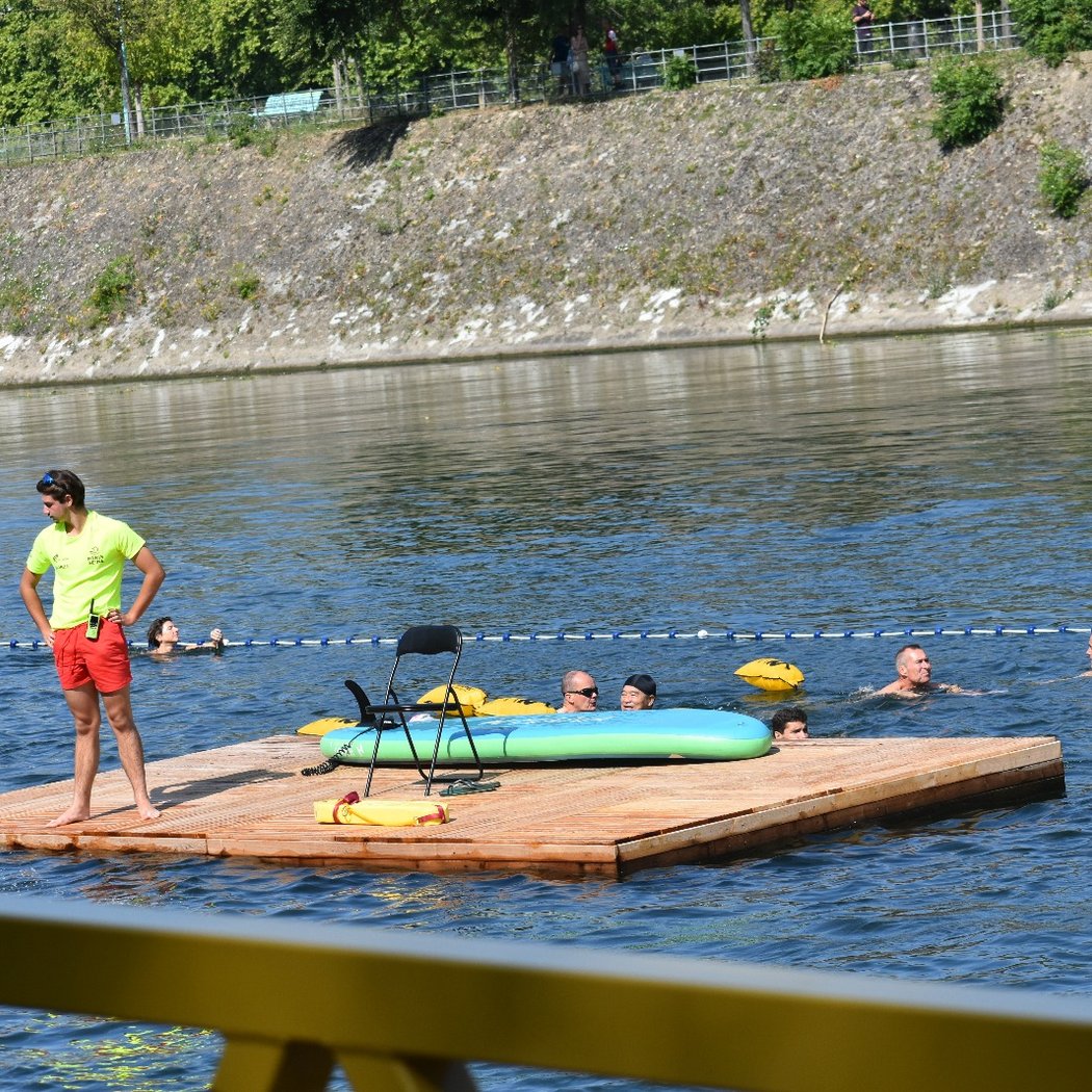 Swimming in the Seine 3
