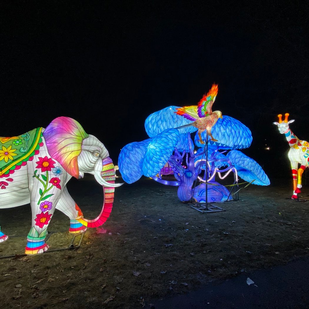 Lektrik Art: A Festival of Lights 3