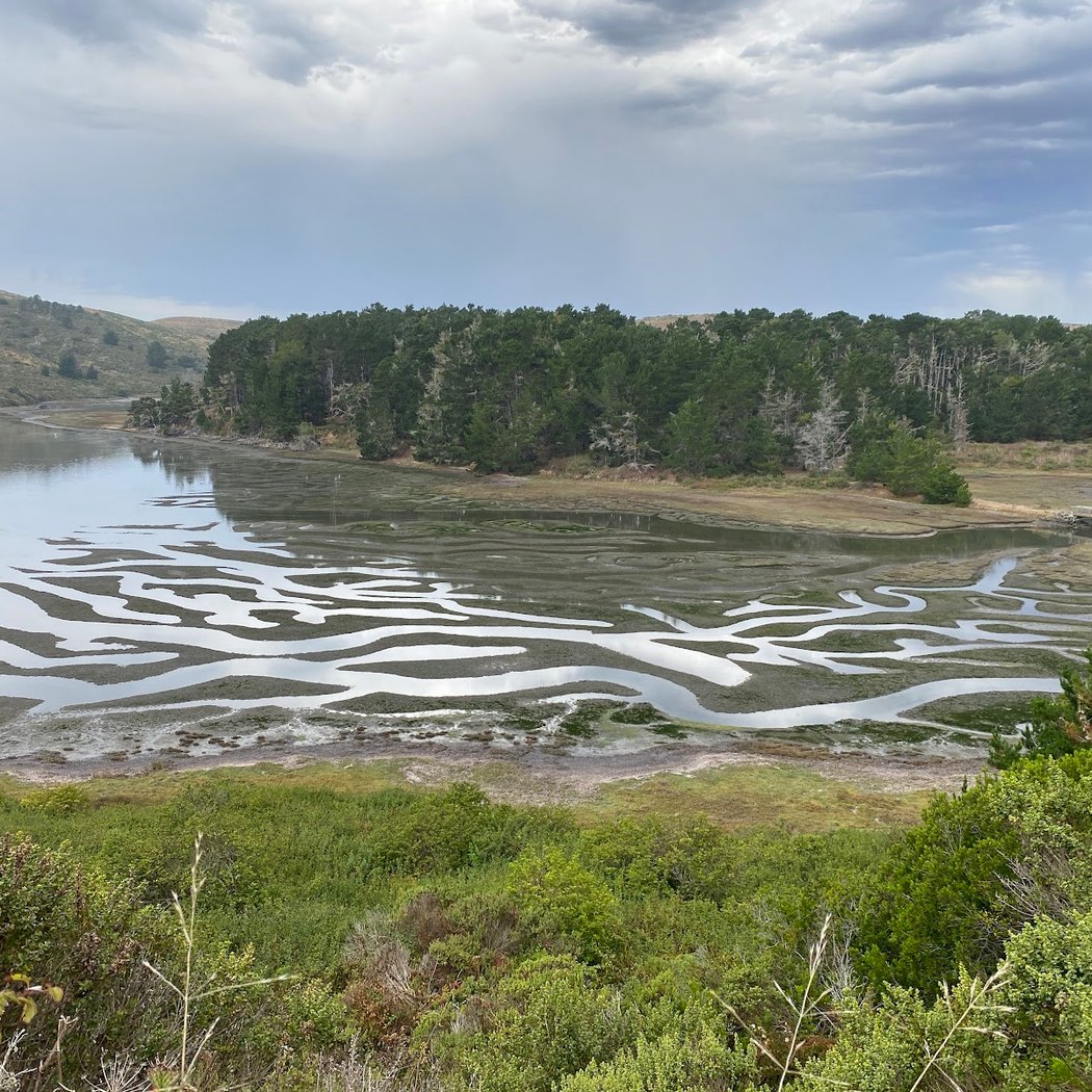 Drakes Estero Trailhead 3