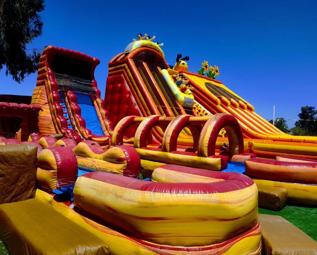 ABC Tree Farms Summer Fun Zone, Pumpkin Patch & Christmas Trees 1