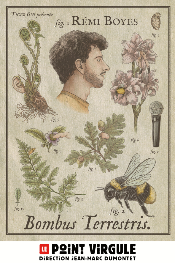 Bombus Terrestris (Nouveau spectacle) 1