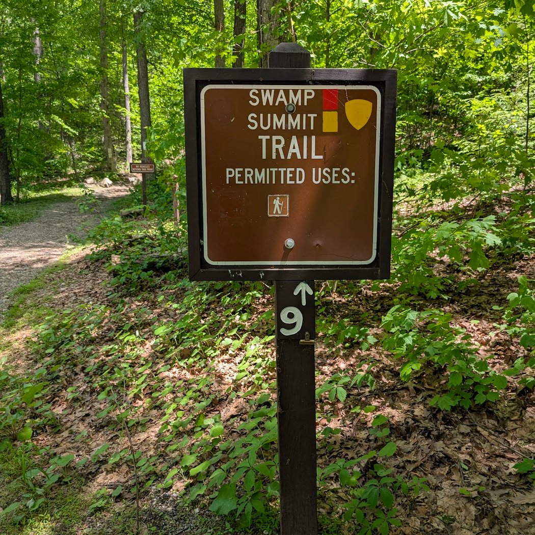 Jenny Jump State Forest 3