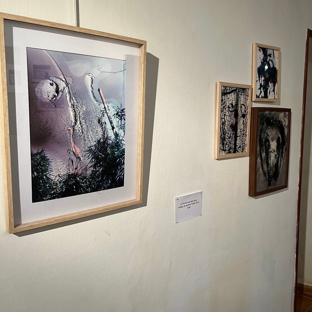 L' Atelier d'Angèle - Galerie d'art 3