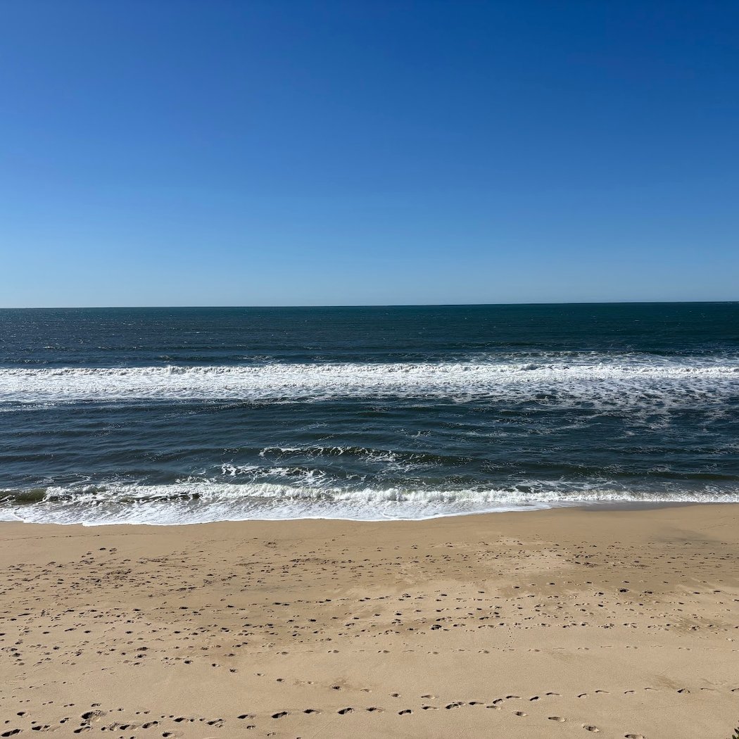 Monthly Beach Cleanups 3