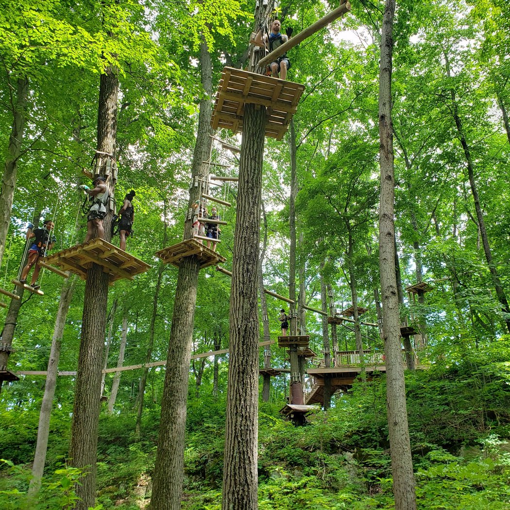 Treescape Aerial Adventure Park 3