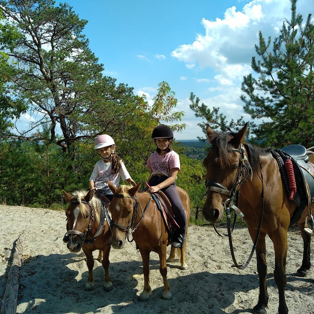 Les Poneys D'abord 3