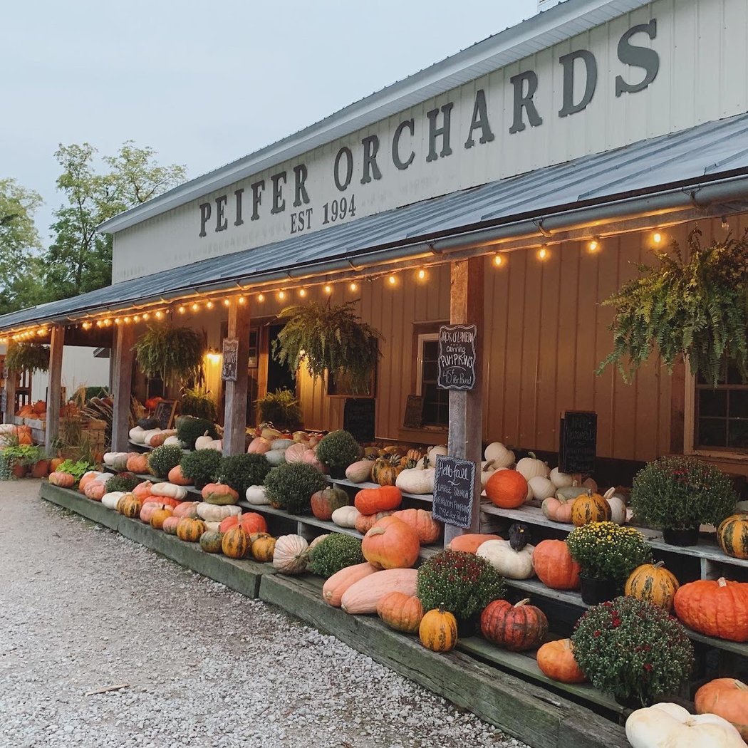 Peifer Orchards 3