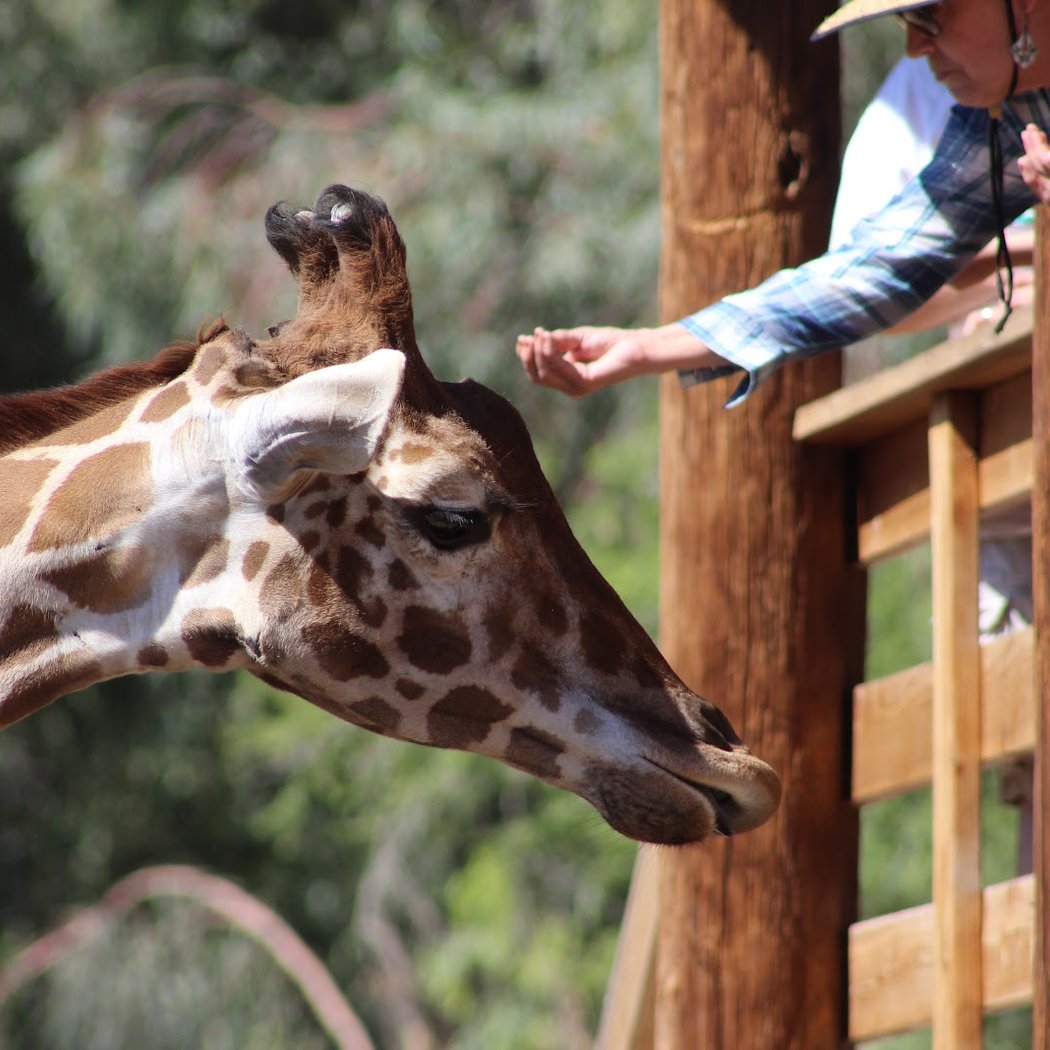Wildlife World Zoo 1