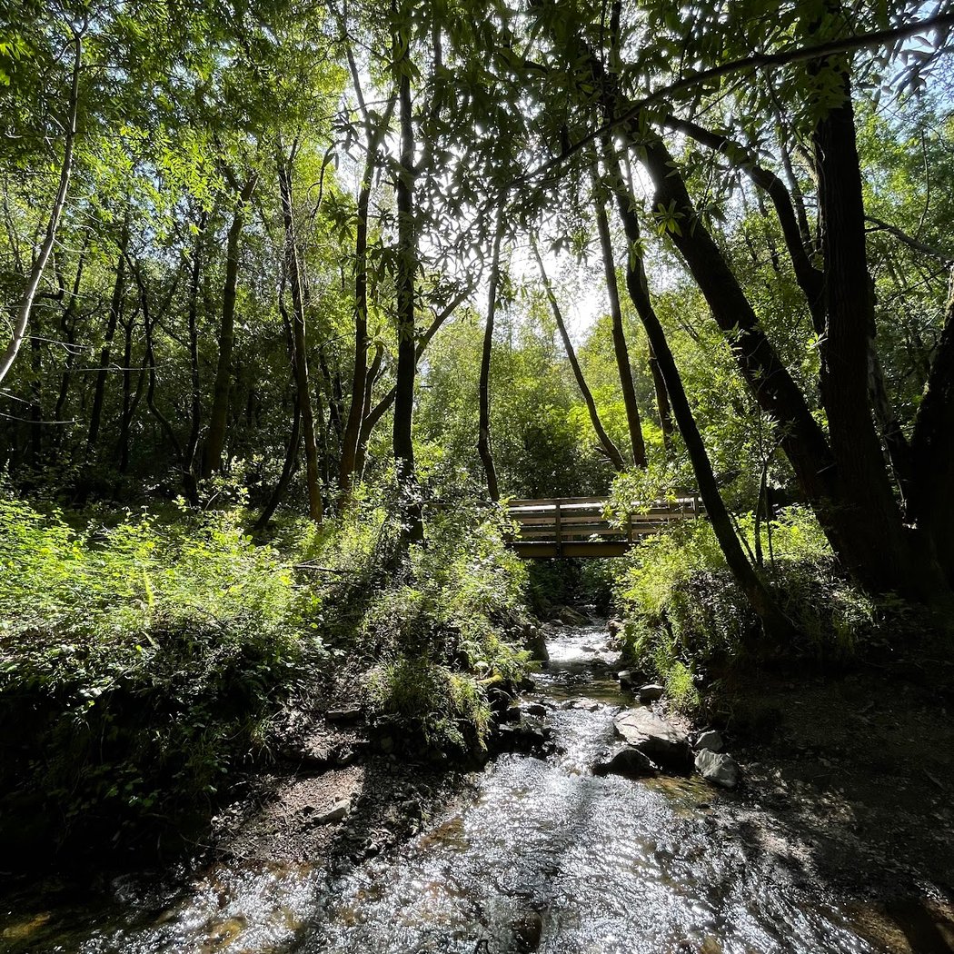 Hidden Villa 1