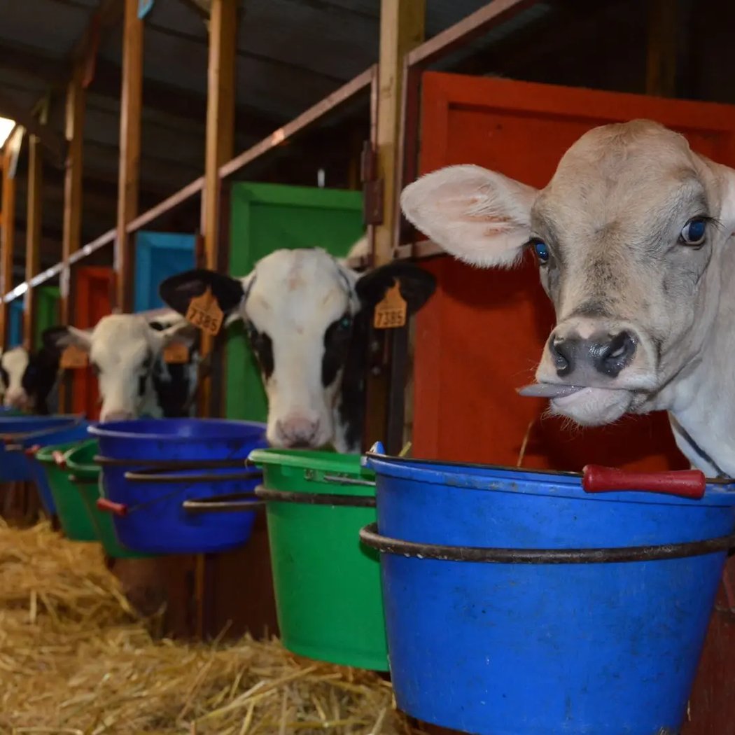 La petite Arche de la Vallée - Ferme pédagogique 3