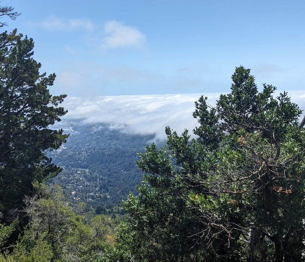 Mt. Tamalpais State Park Visitor Center 4