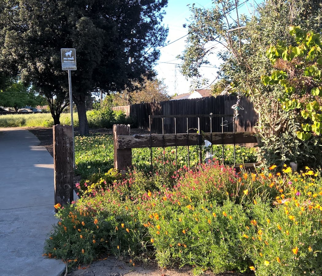 Blacow Park 1