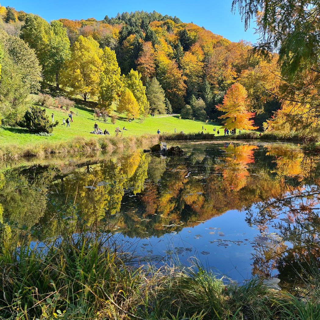 Arboretum of Aubonne 3