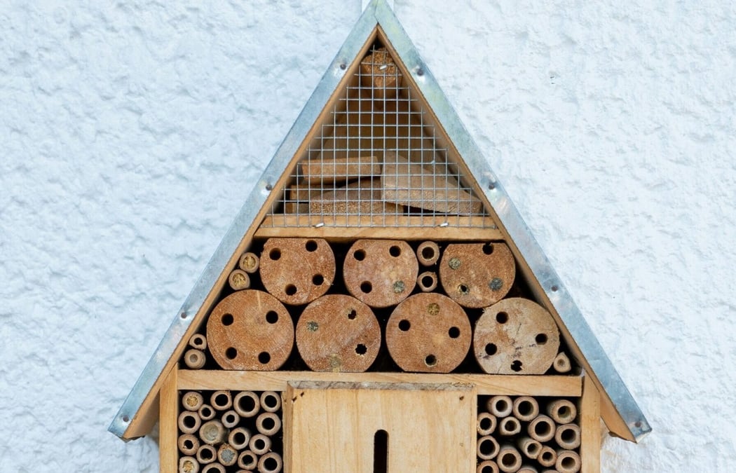 Ferienpass: Wir bauen ein Insektenhotel 1
