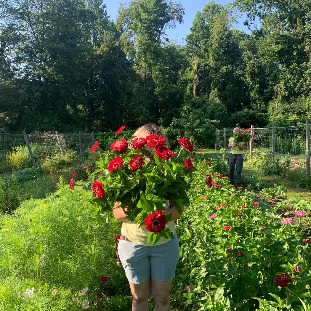 THE FLOWERHOUSE 10547 3