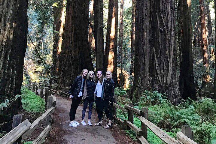 Muir Woods and Golden Gate Bridge 3-hour Private Group Tour 2