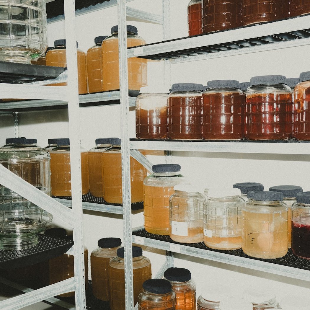 Datxa Kombucha 2