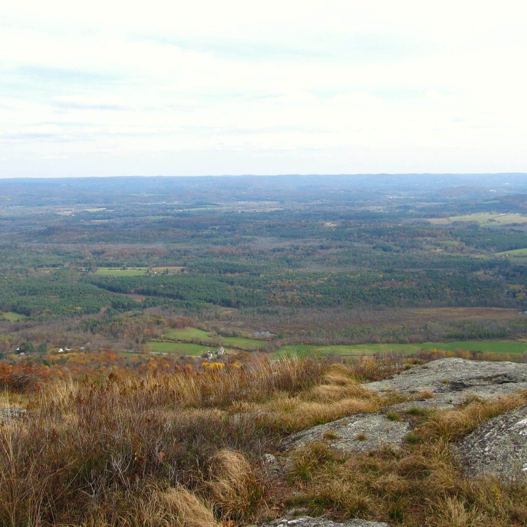 A.T. Overnight Site Maintenance: Laurel Ridge Campsite 2
