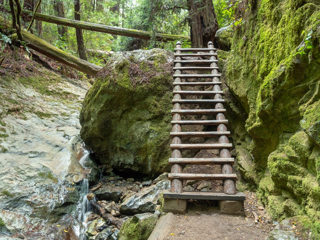 Steep Ravine Trail 1