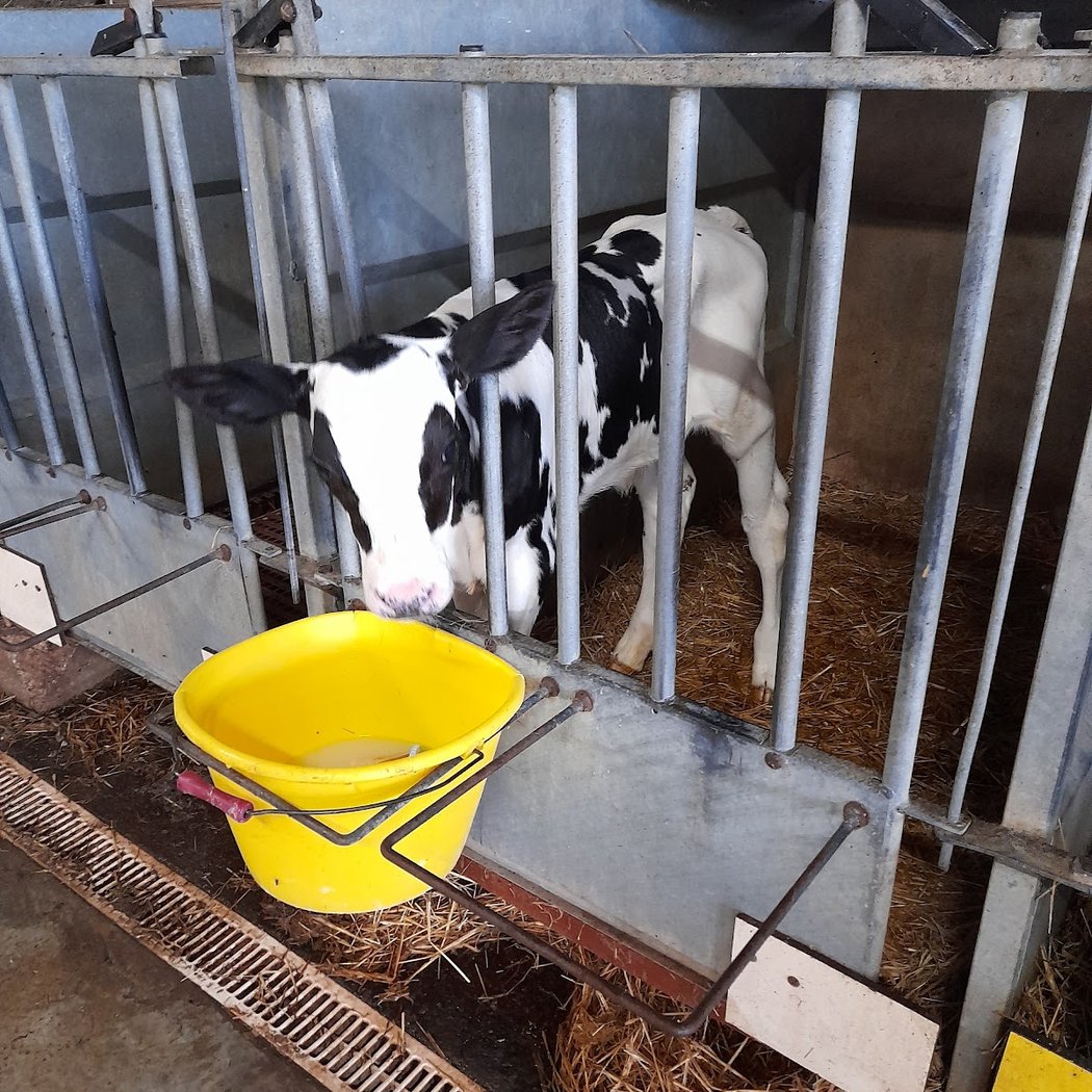 La Ferme du Ramier 3