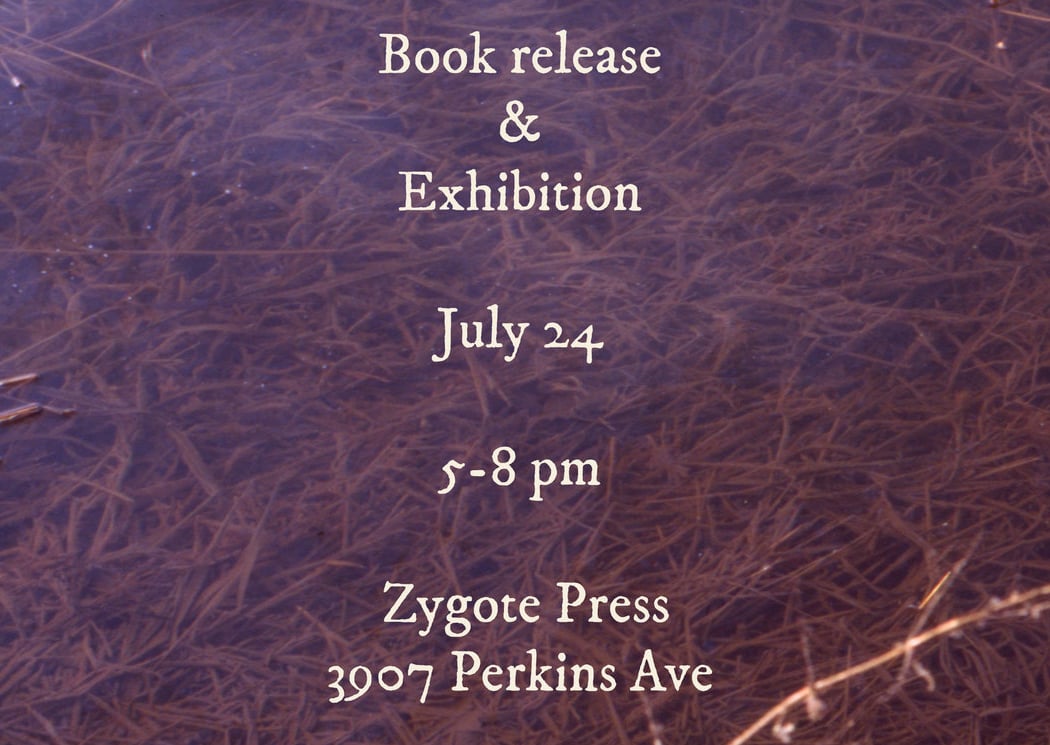 SWAMP WATER: Book Release & Exhibition Opening 1