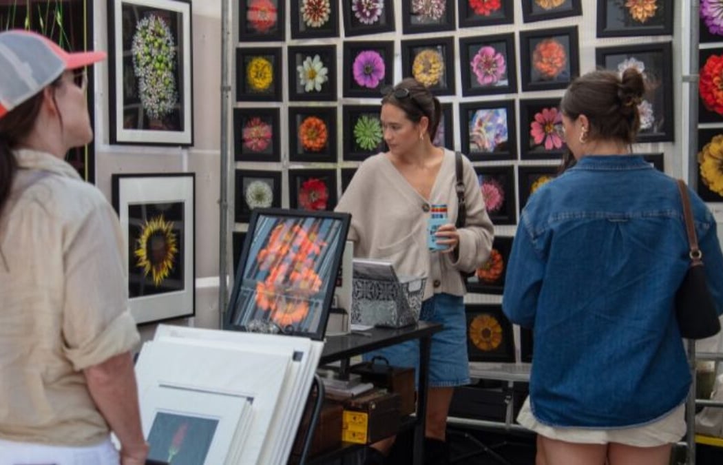 Saint Louis Art Fair 1