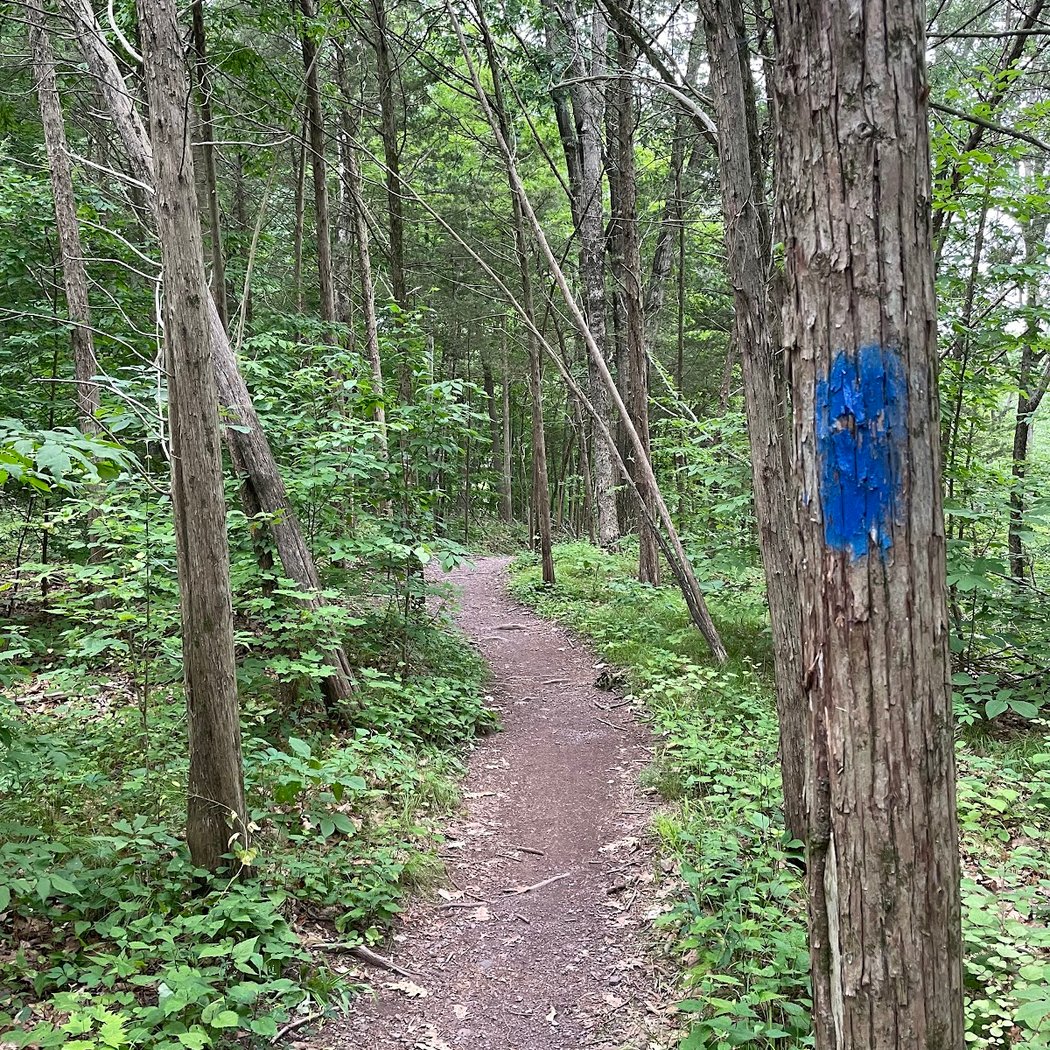 Green Lane Park 2