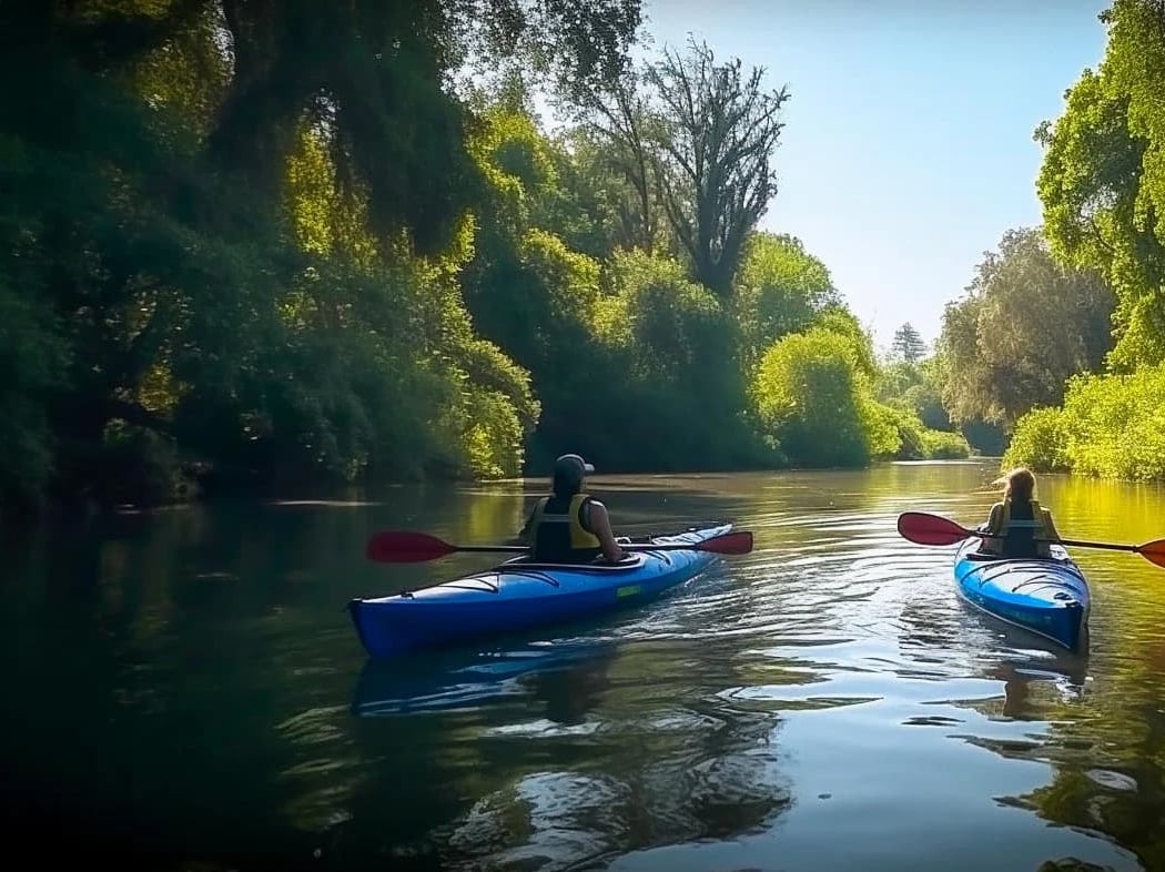 Napa River 1
