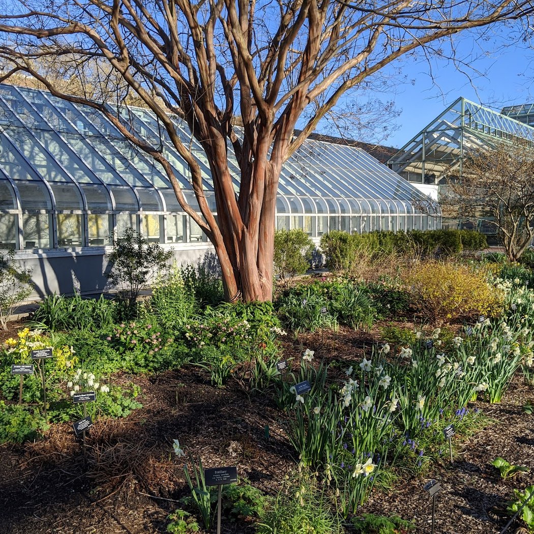 Steinhardt Conservatory 3