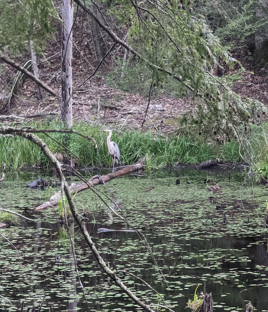 O&W Rail Trail 1