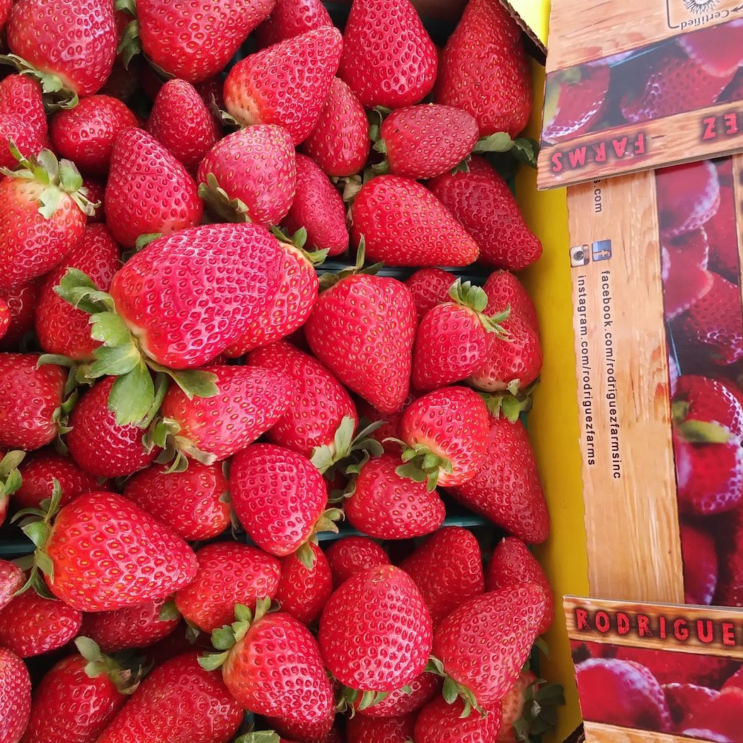 Rodriguez Farms 1