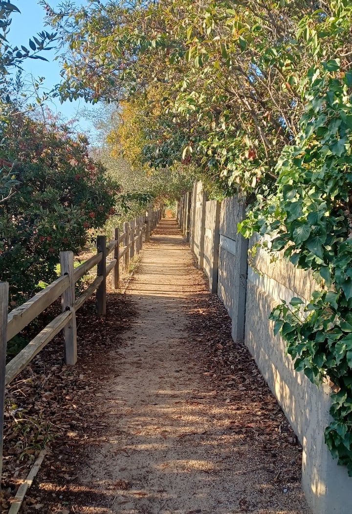Joe's Trail at Cox and de Anza 3