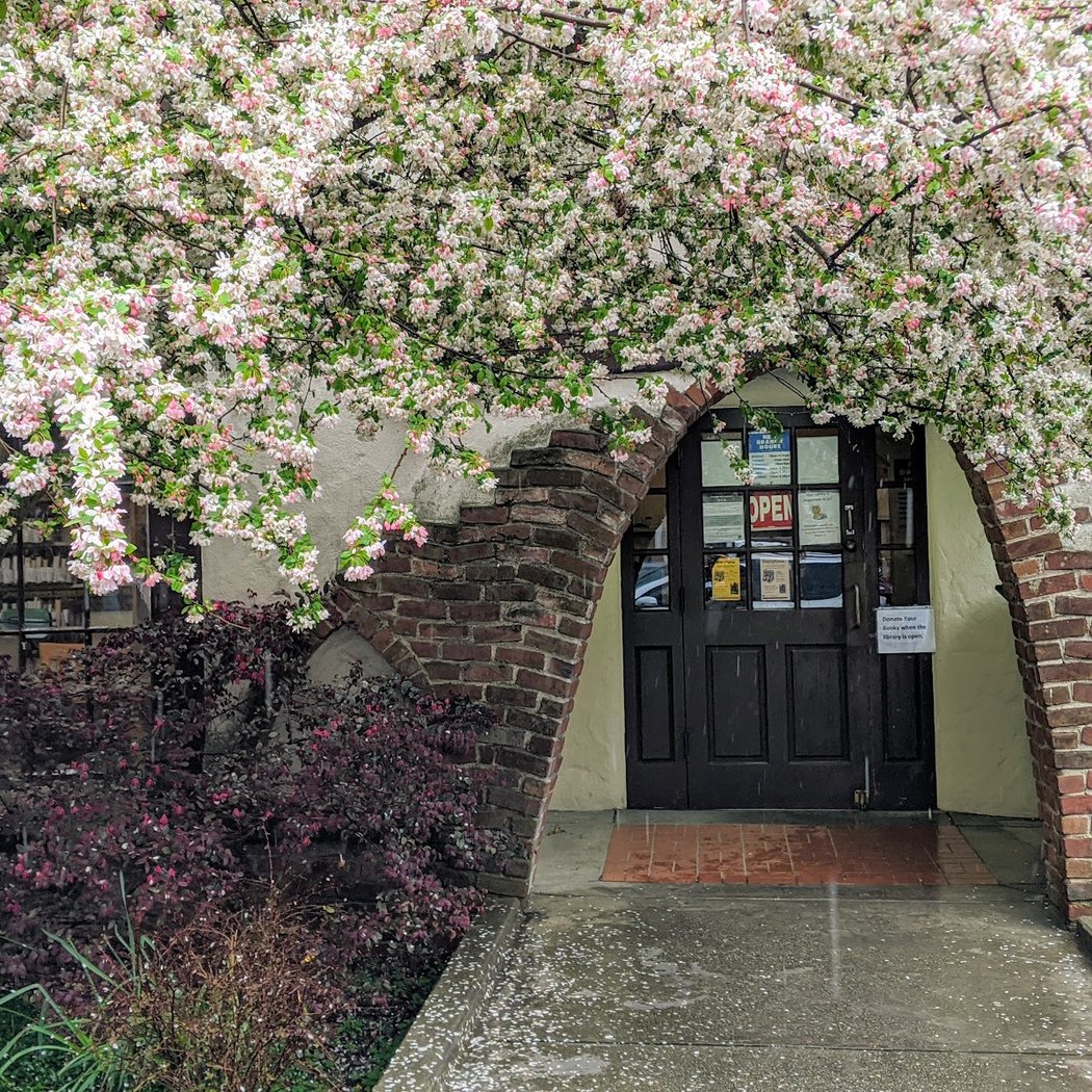 Free Drop-in Art Workshops with MOCHA in the Library 4