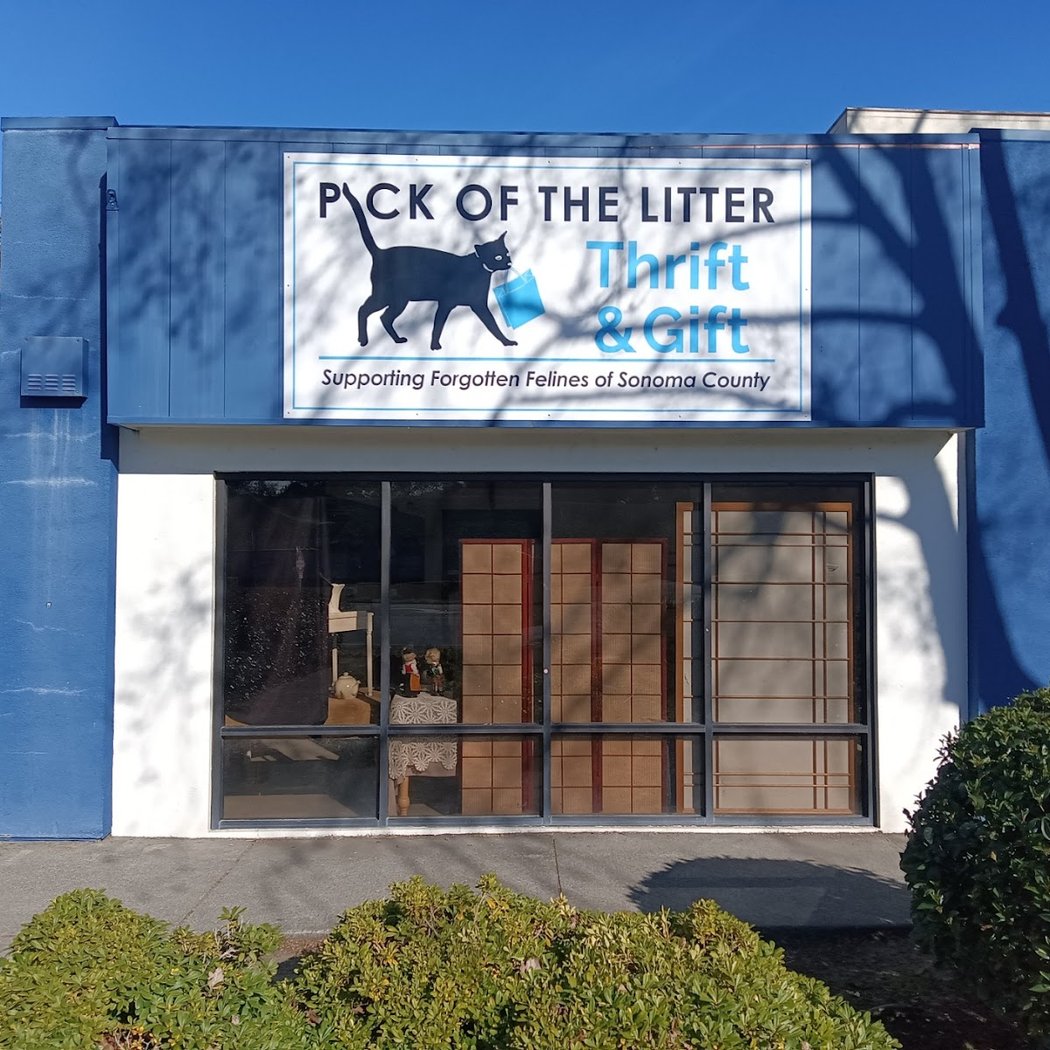Thrift Store Pop Up 3