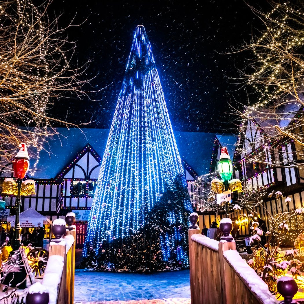 Tree Lighting 1