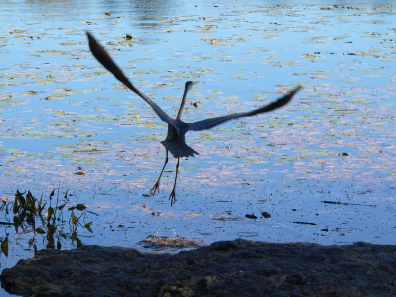 Webster Conservation Area 3