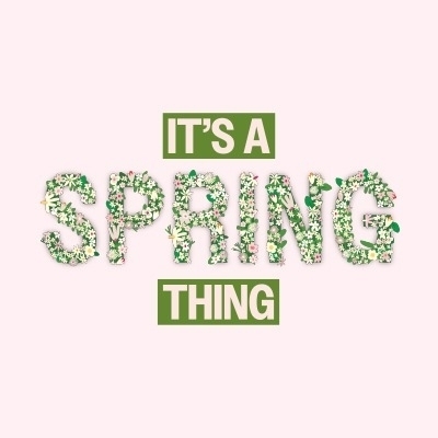Spring Social 1