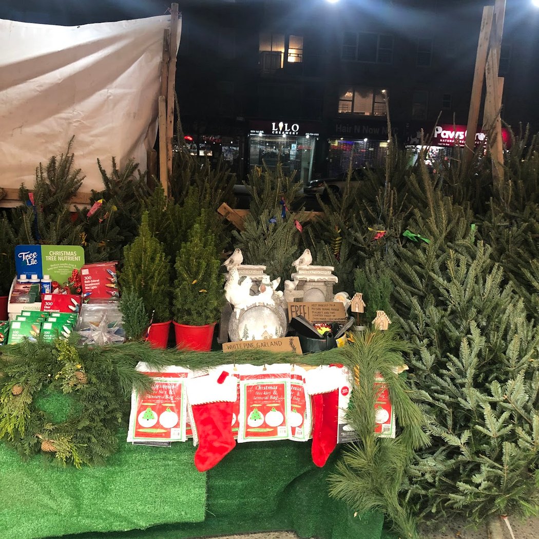 NYC Tree Shop (Christmas Trees Stand) 2