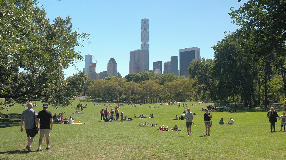 Sheep Meadow 2