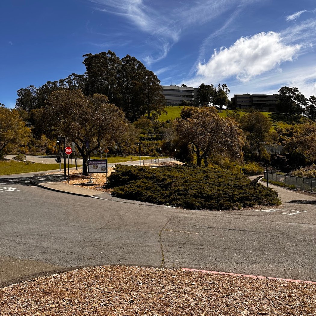 Grizzly Peak Vista Point 2