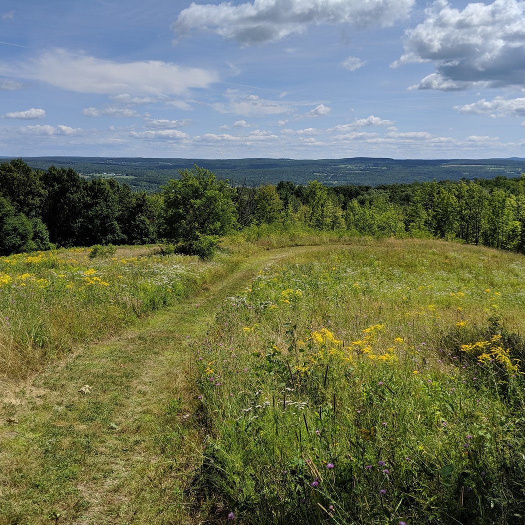 Landis Arboretum 3