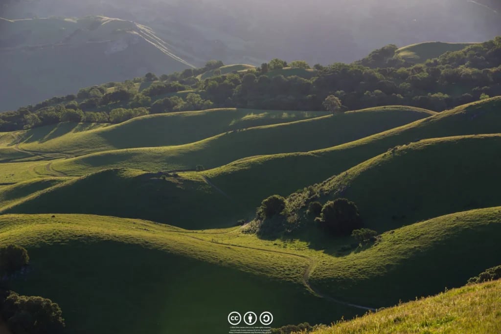 Rancho San Antonio Open Space Preserve 1