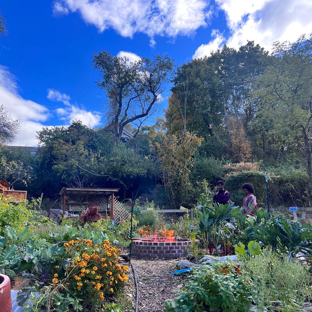 The Sanctuary Healing Farm + Gardens 1