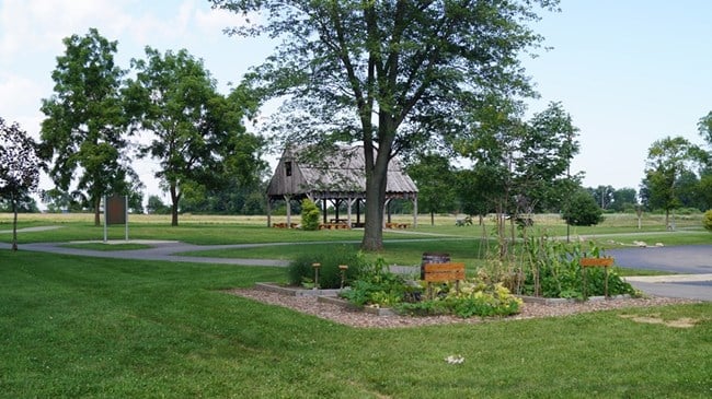Field of Honor 3