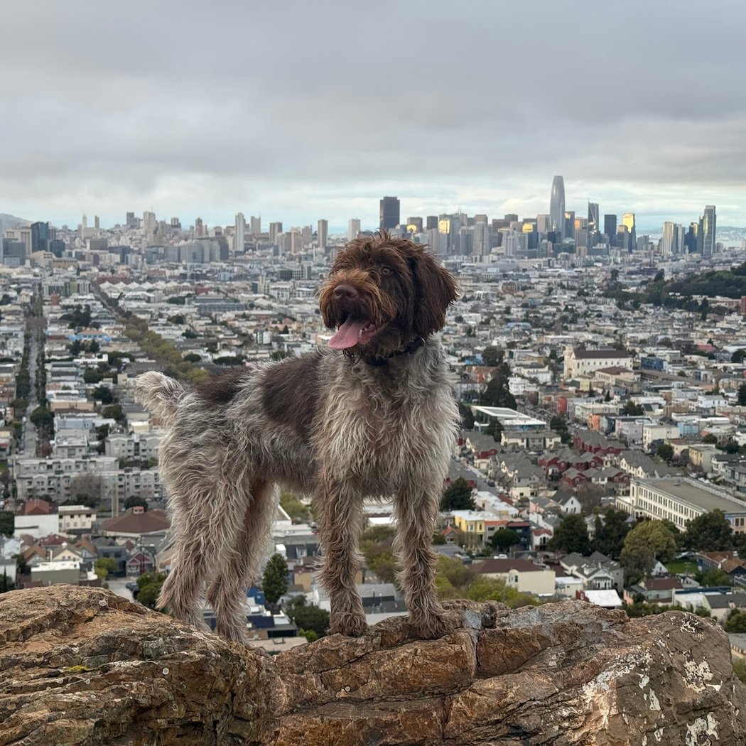 Bernal Peak 1