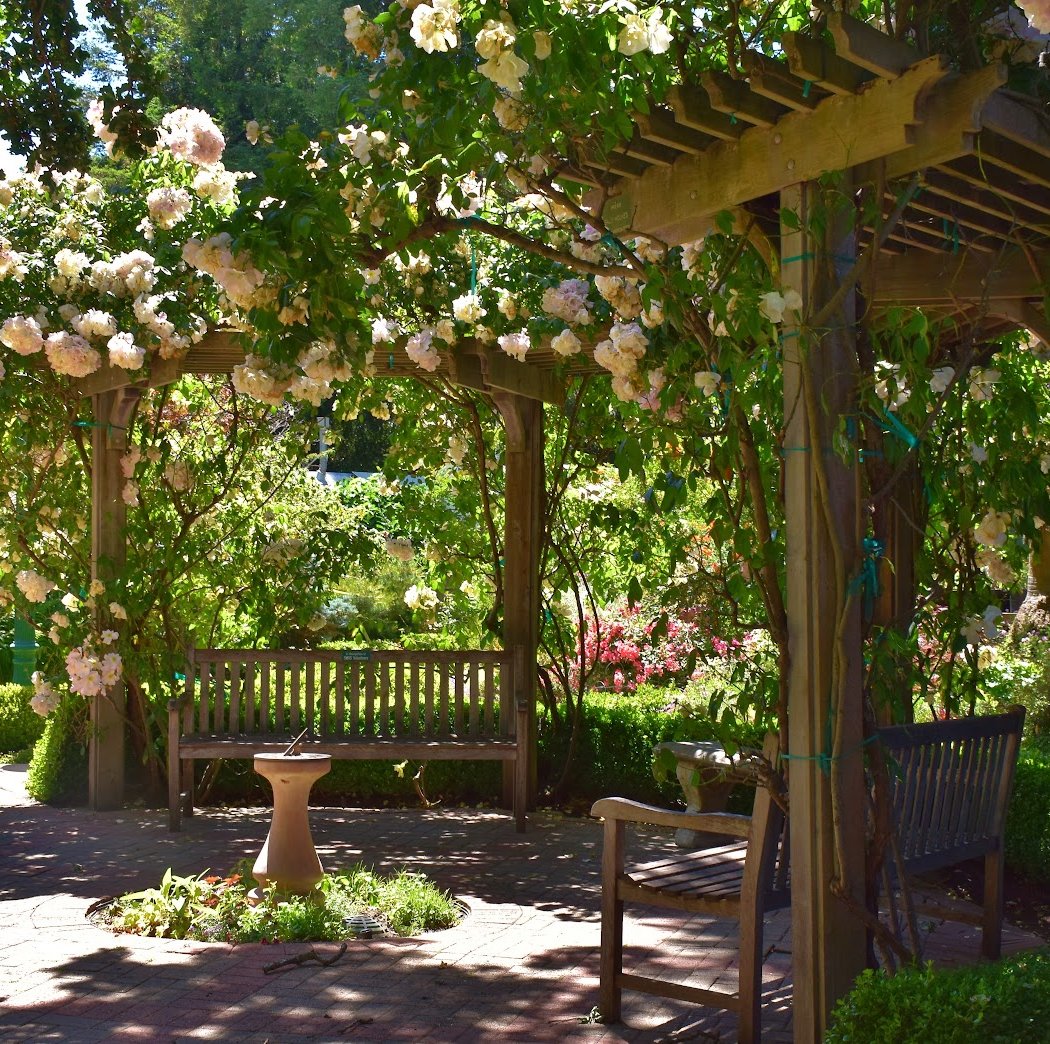 San Mateo Arboretum Society 1