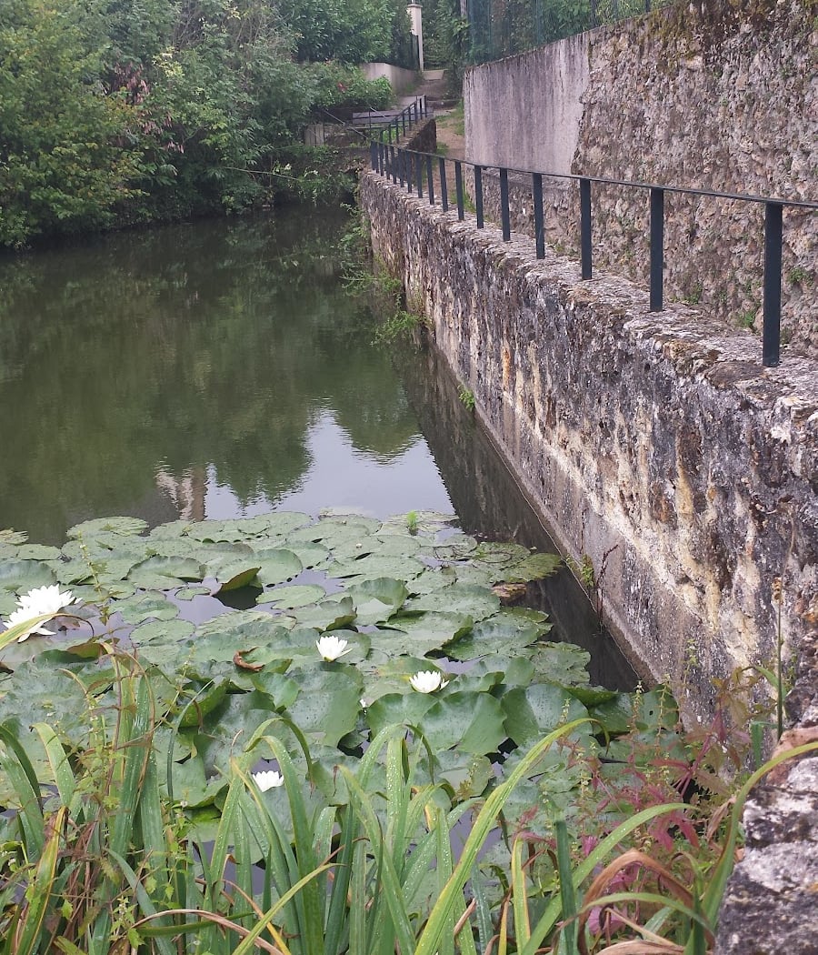 Trail du Viaduc des Fauvettes 3